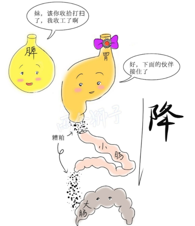 耳鸣乏力嗜睡要警惕四种病,肾气不足会耳鸣眩晕大脑不清醒吗