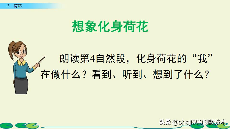 部编版三年级下册语文3荷花讲解,三年级下册部编语文荷花教学视频