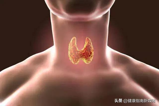 检查化验甲减要多少钱,化验甲减什么时候出结果