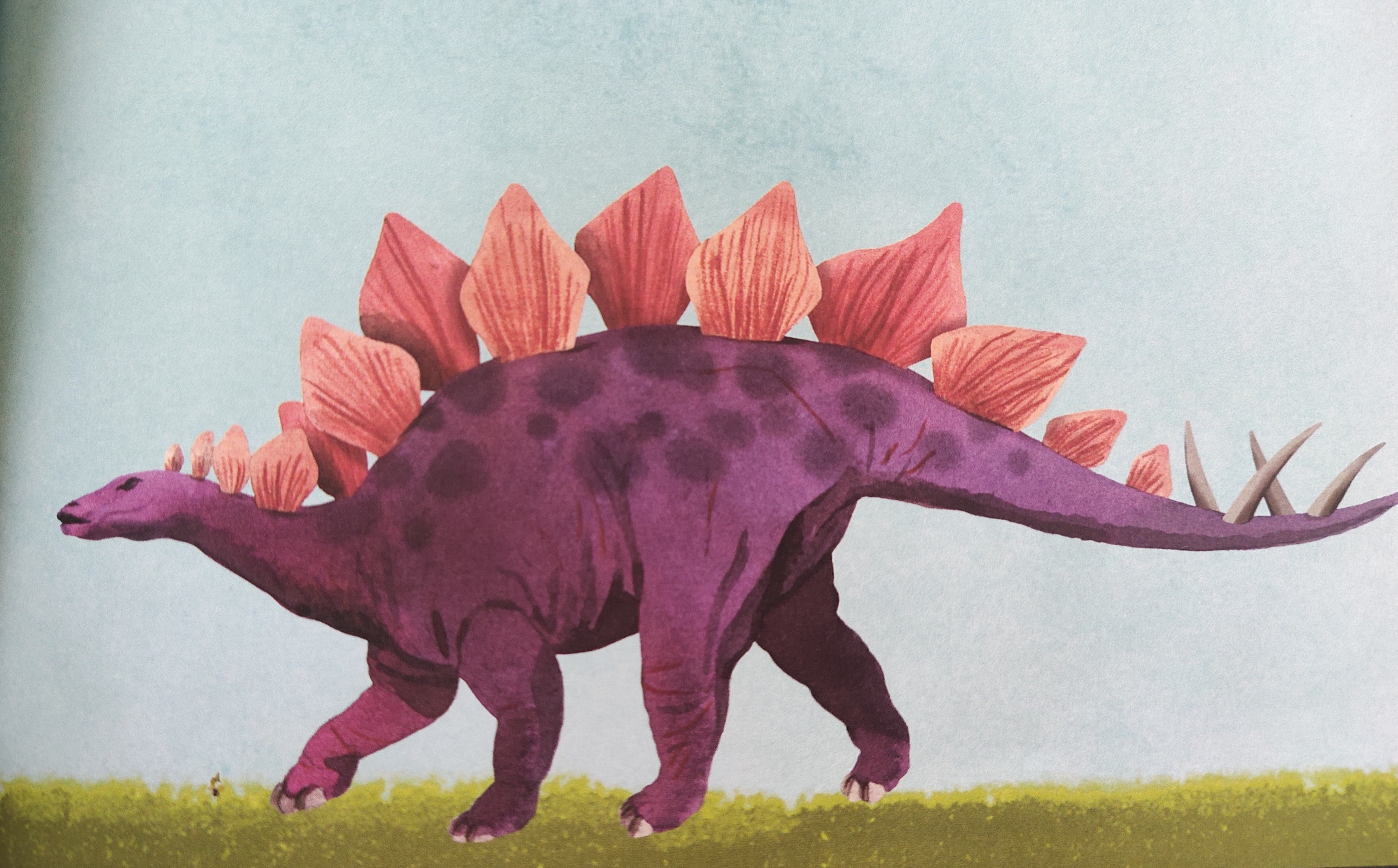 科学院恐龙科普视频,中科院的科普视频