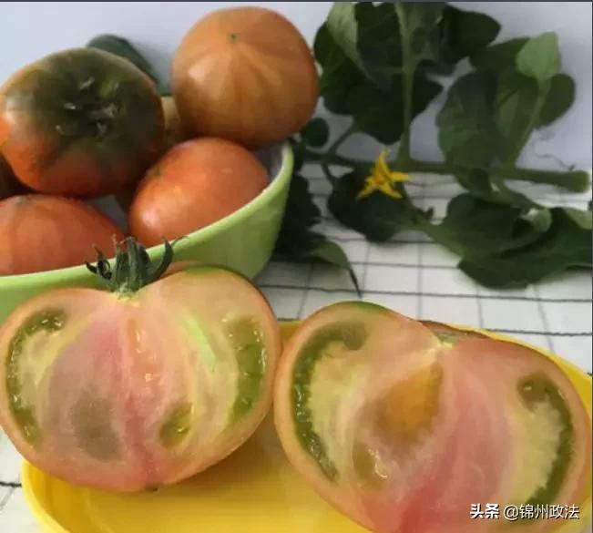 沈阳有什么特色农产品,辽宁省14个市县特产农产品