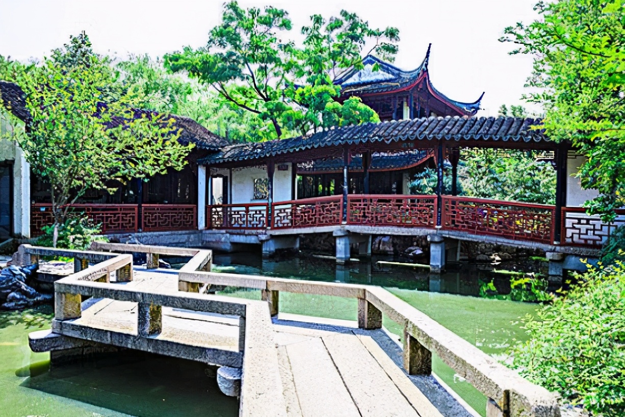 苏州最孤独的树夜景,苏州最孤独的树地址