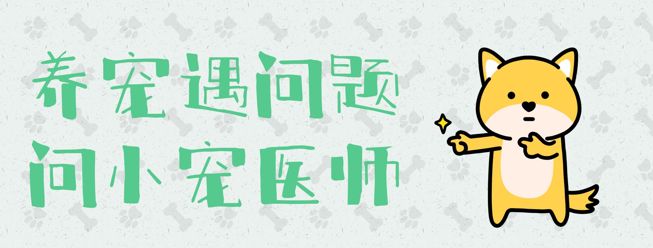 猫咪脚垫毛怎么修理,猫咪脚垫干燥怎么处理