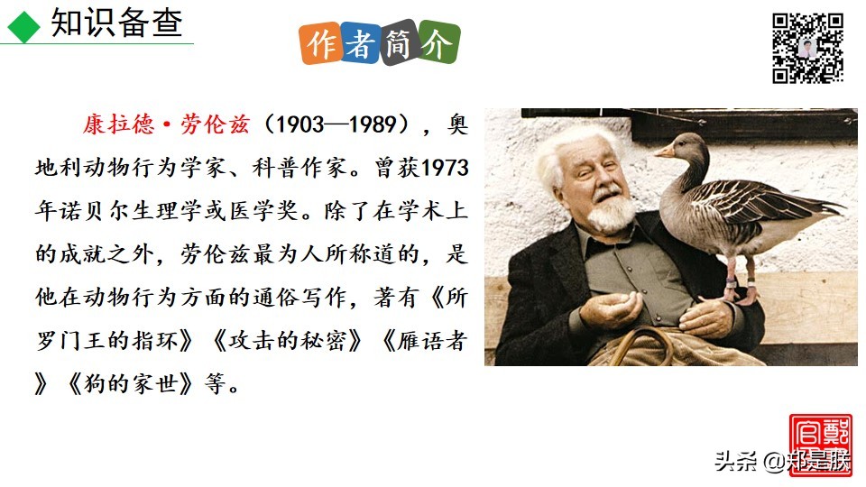 七上人教版第十七课动物笑谈课件,七上语文动物笑谈