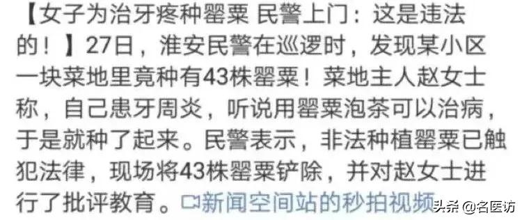 如果不小心得了牙周炎该怎么办,如果牙周炎不治疗会有什么后果