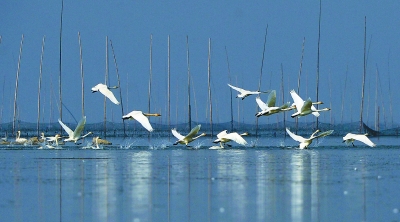 安徽当涂县百强县排名,当涂县五年规划