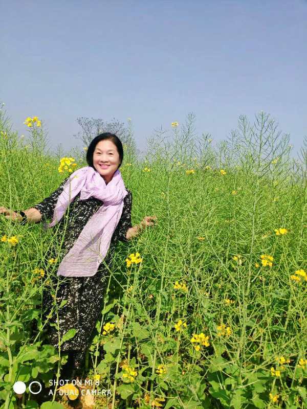 云一诗词荐读ll王惠玲的诗