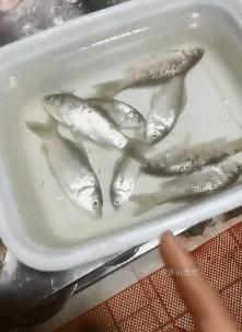 996马云谈996工作制,马云的996为什么那么厉害