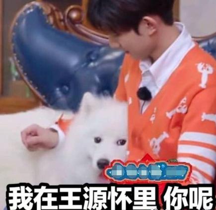 韩国exo吴世勋和朴灿烈,exo吴世勋鹿晗是亲兄弟吗