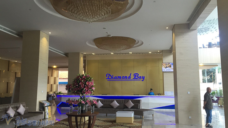 瓒婂崡鑺藉簞娴锋哗鏅尯瑙嗛,瓒婂崡鑺藉簞榛戝矝娴锋哗