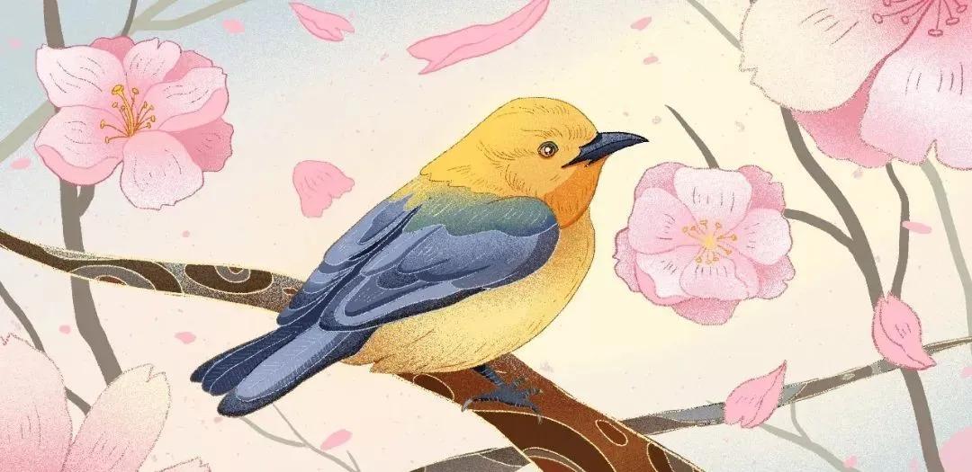 描写动物的好词佳句和片段作文,描写动物的作文句子段落摘抄大全