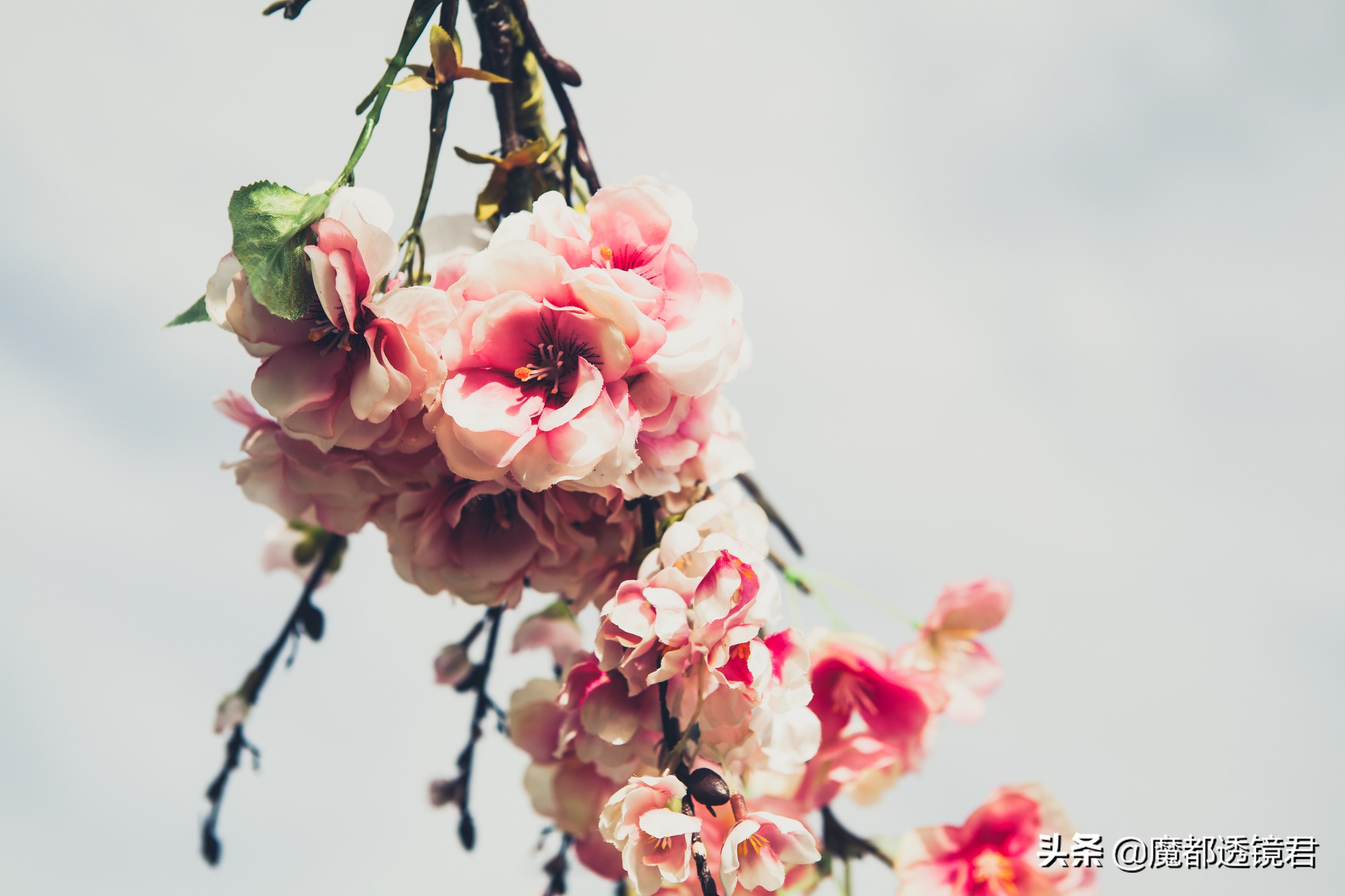 闲下来会让自己不知所措,闲下来的时候感觉无所适从