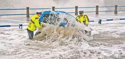 什么样的照片可以放到屏幕上,什么样的照片容易获奖