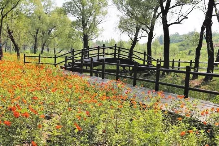 复兴区美丽乡村,复兴区户村镇美丽乡村