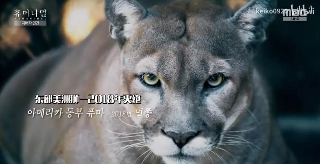 15岁怀孕的她，被骗吃下*药炸**，无辜去世：生而为人，有些人却不配