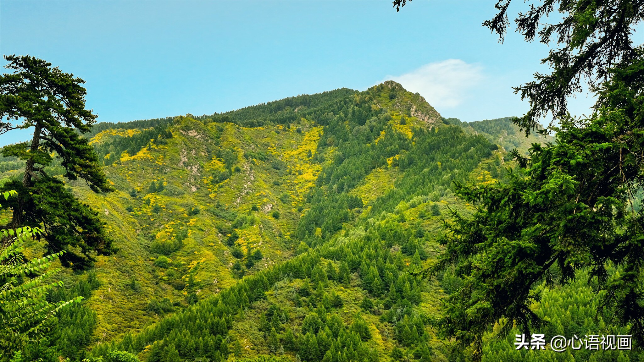 五台山清凉胜境介绍,五台山清凉胜境里面有什么