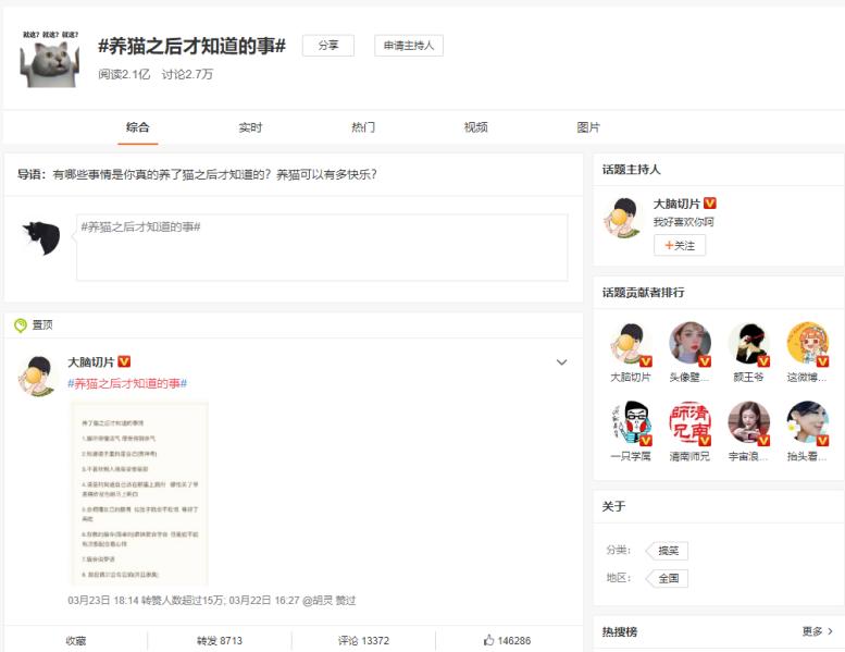 哪些是你养猫之后才知道的事？《喵与筑》云养猫开启温馨之旅