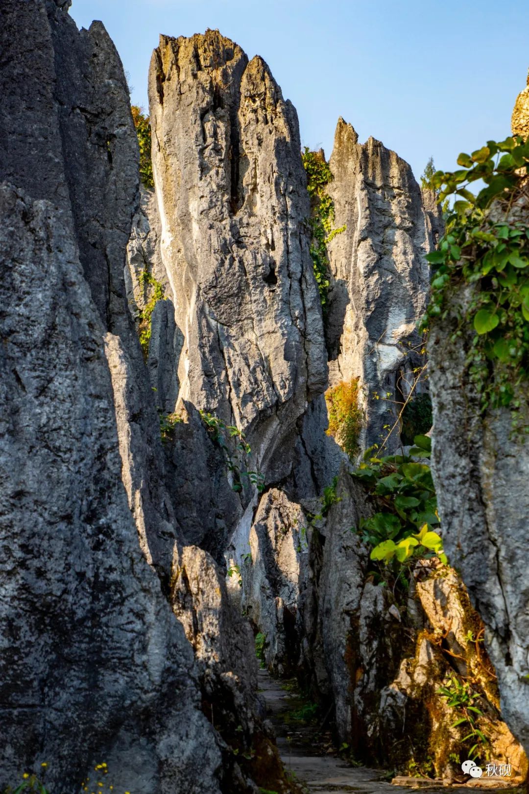 周游西南随记(六)弥蒙的万峰林