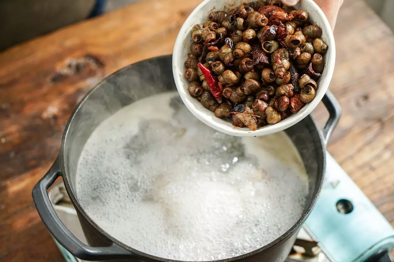 螺蛳粉里没有螺蛳为什么叫螺蛳粉,广西正宗螺蛳粉的螺蛳是怎么样的