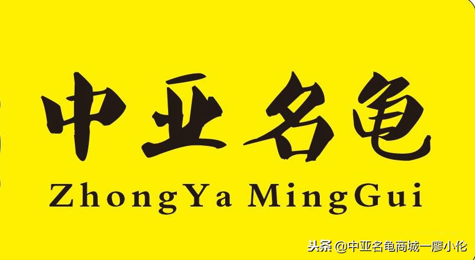 能在北方自然过冬的乌龟,乌龟过冬最好的办法