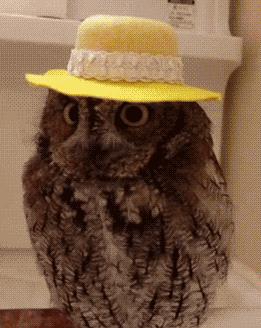 10款夏季清凉防晒好物推荐,错过时机再等一年