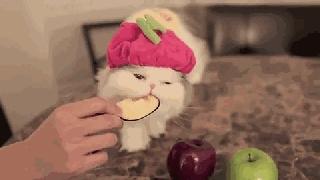 晚上吃什么水果能帮助减肥瘦身,减肥晚上喝酸奶好还是吃水果好