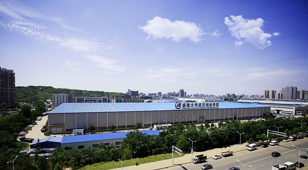 武汉民营企业厉害吗,武汉的巨无霸央企