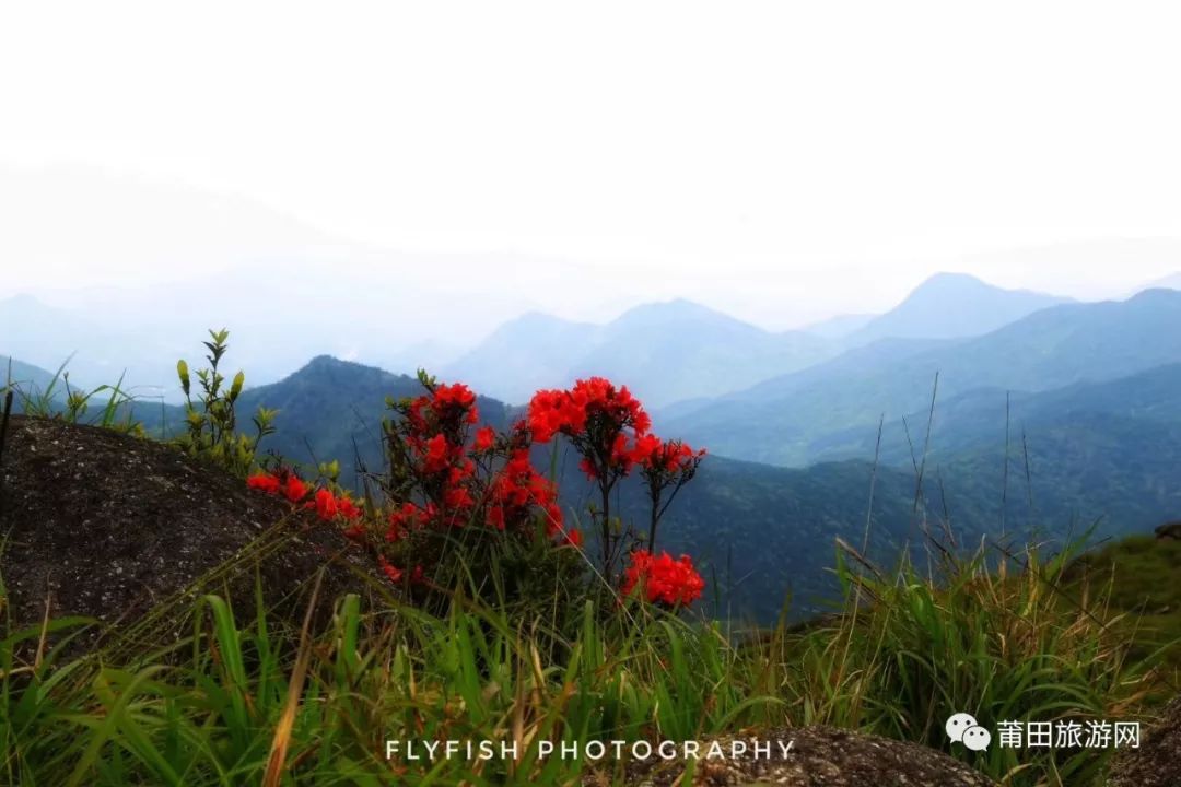 五月的山真的好美,五月的山的介绍