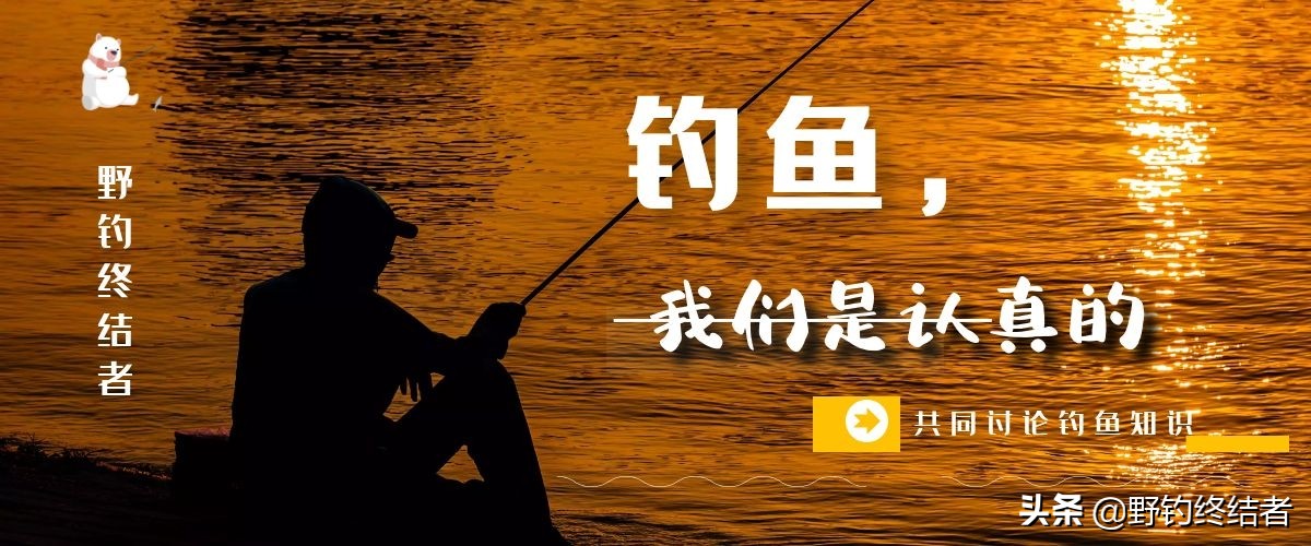 海竿爆炸钩钓鲤鱼用几号钩最佳,夏季野钓鲤鱼爆炸钩饵料配方