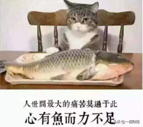 德隆重生记：左手倒右手的游戏与难以收场的结局—《中捷资源篇》