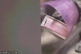 伊丽莎白圈猫咪,伊丽莎白圈有危险吗