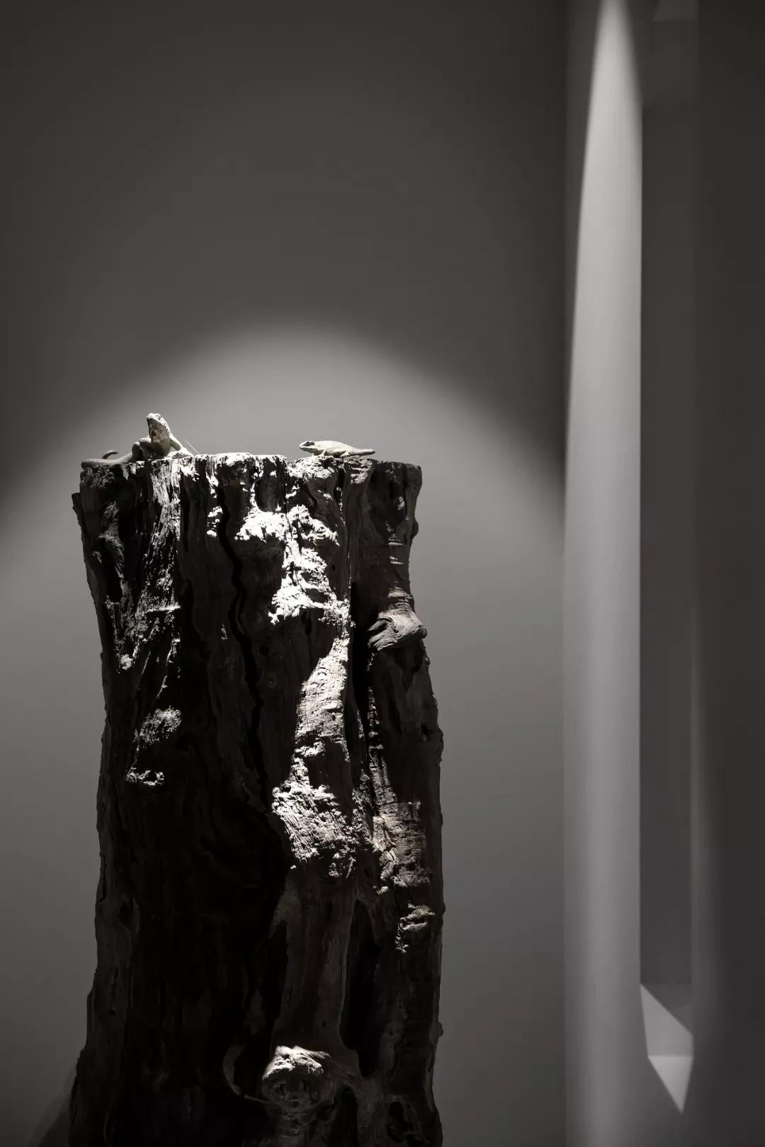 墨香茶韵作品,墨香茶韵