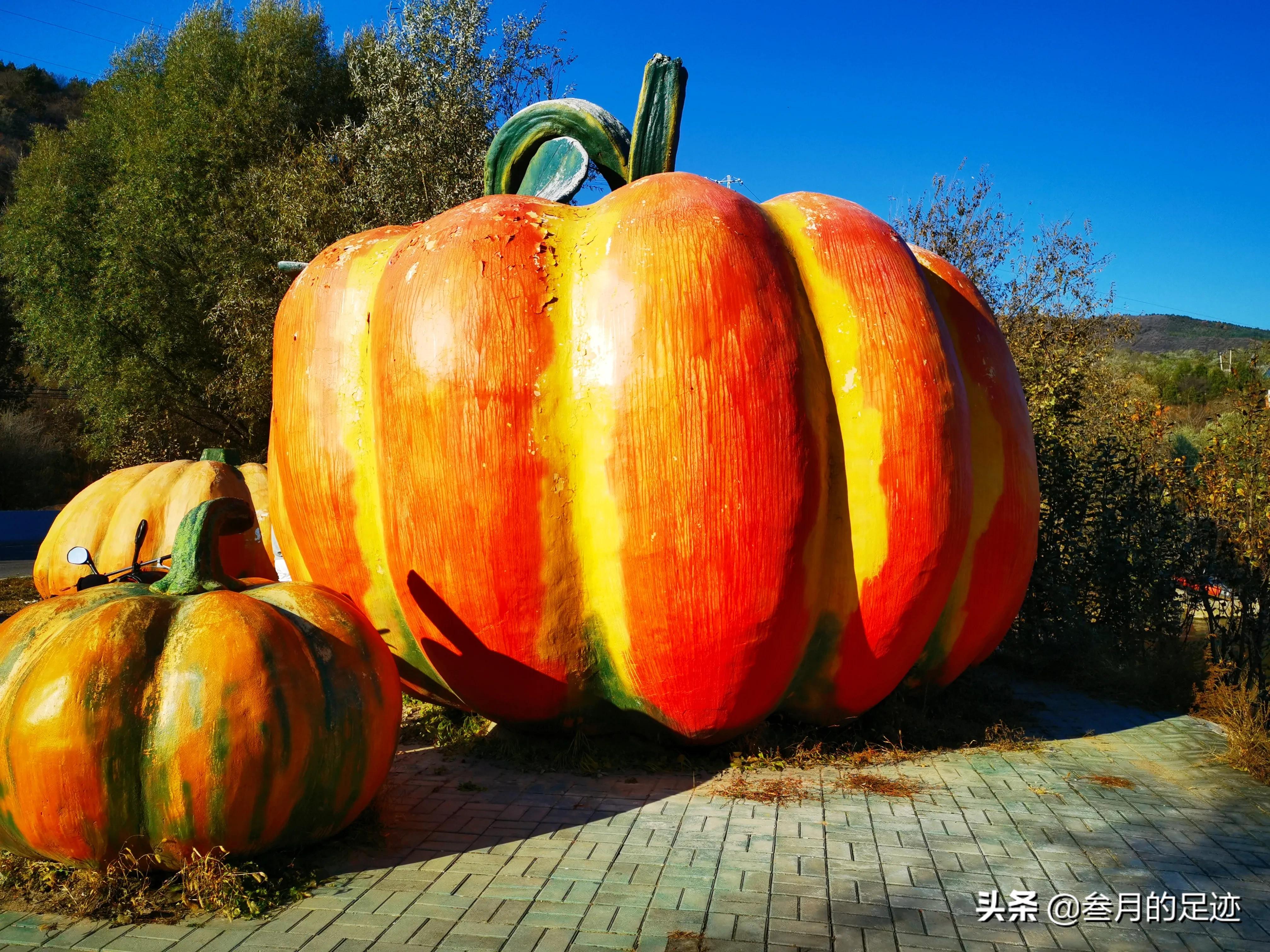 北京自驾游最佳攻略免费观看,北京最美自驾游路线推荐