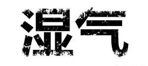 薏仁除湿气最好的方法,红豆薏仁祛除人体湿气的方法