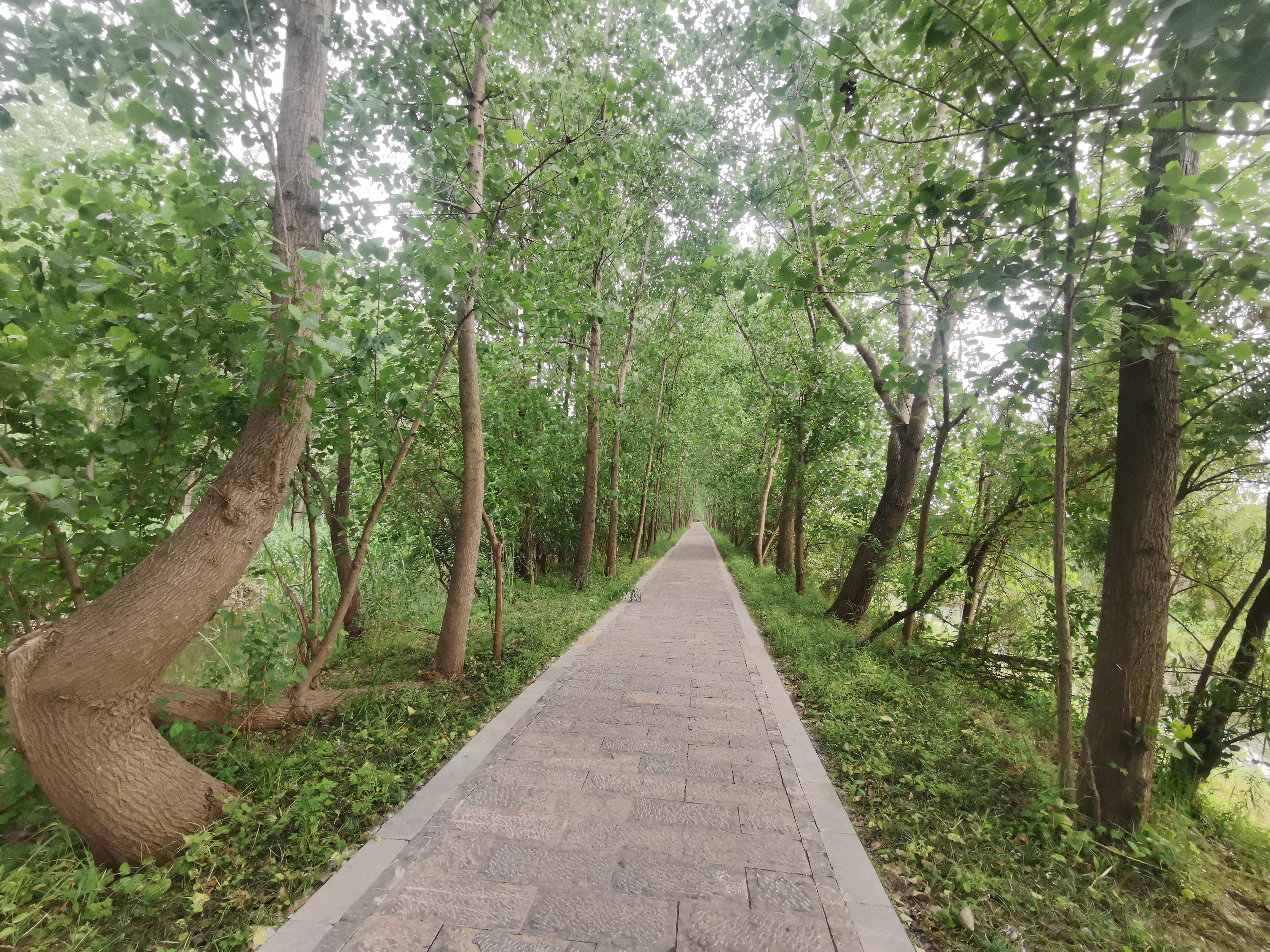 曾经的脏乱差变成了现在的新景观,从面目全非到焕然一新