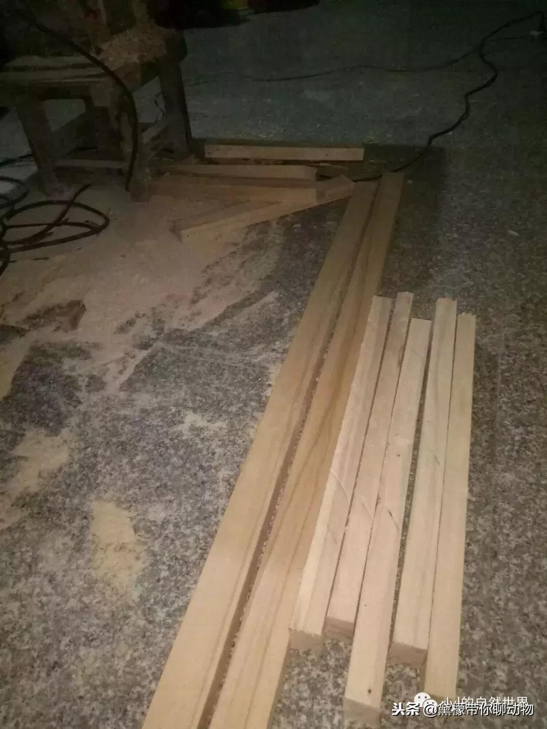 丛林造景黄缘龟池设计图大全,龟宝宝黄缘龟生态缸造景教程