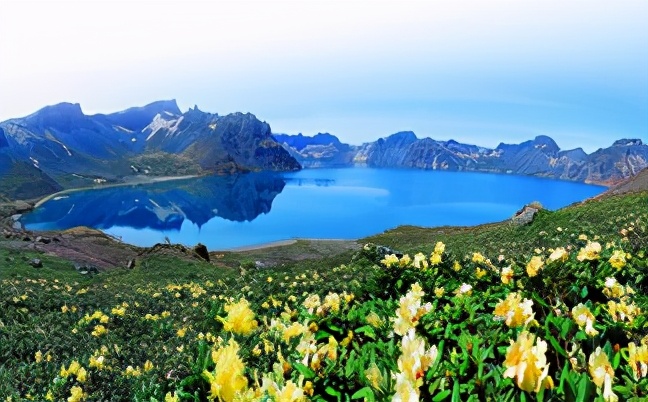 6个超乎想象的冷知识大全,10个难以置信的冷知识太奇葩了