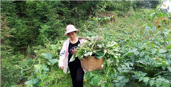 贵州用镰刀剃头的原始部落,偷南瓜是在哪里