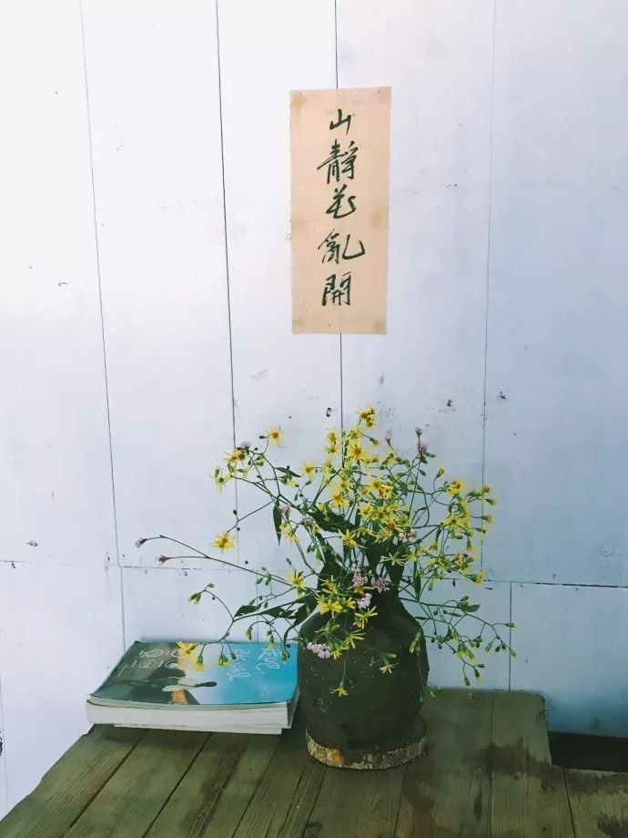 10年前，那个花83元穷游*藏西**的姑娘，后来怎么样了？