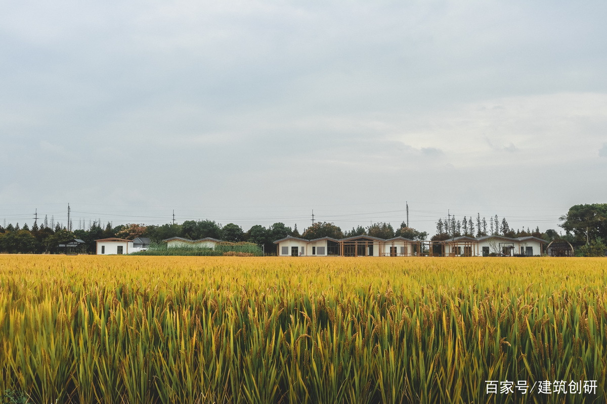 粮田改造,粮田改造工程