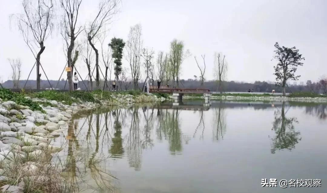 住在成都这个地方,给你大学四年的“神仙体验”