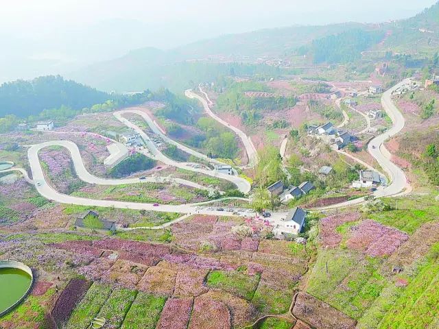 半个月后成都即将美翻全国，17处美景玩转整个春天！