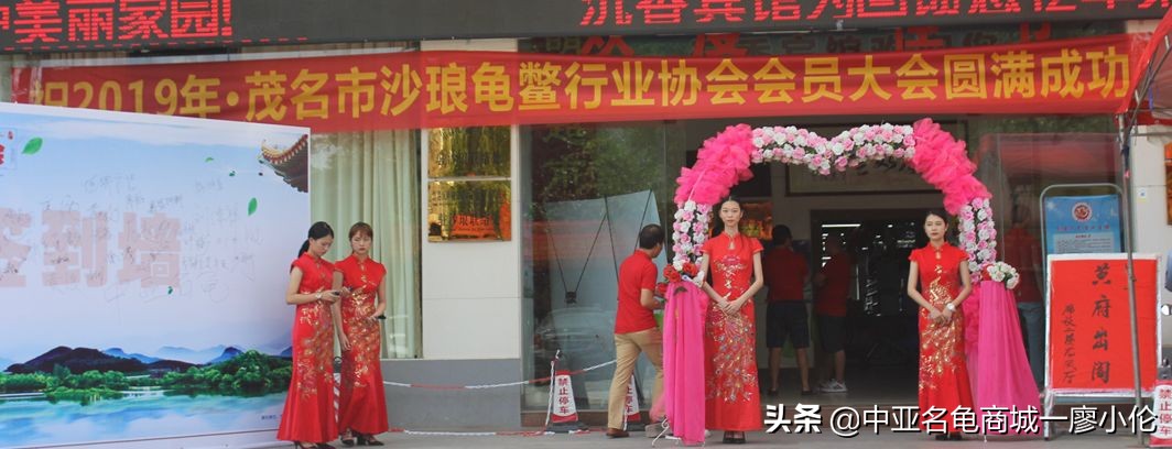 沙琅龟协会,沙琅乌龟协会