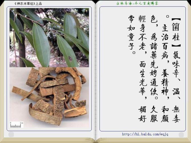 本草纲目中药讲解视频,本草纲目中药图谱及药理讲解