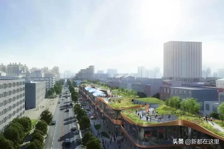 关注成都的发展,新都关注