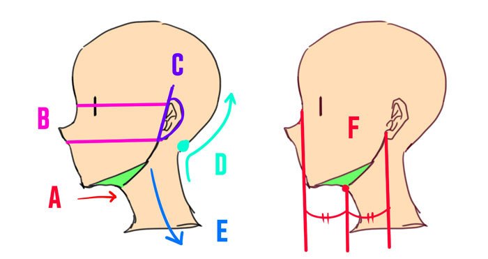 动漫人物怎么画头部,怎么画动漫人物头部结构