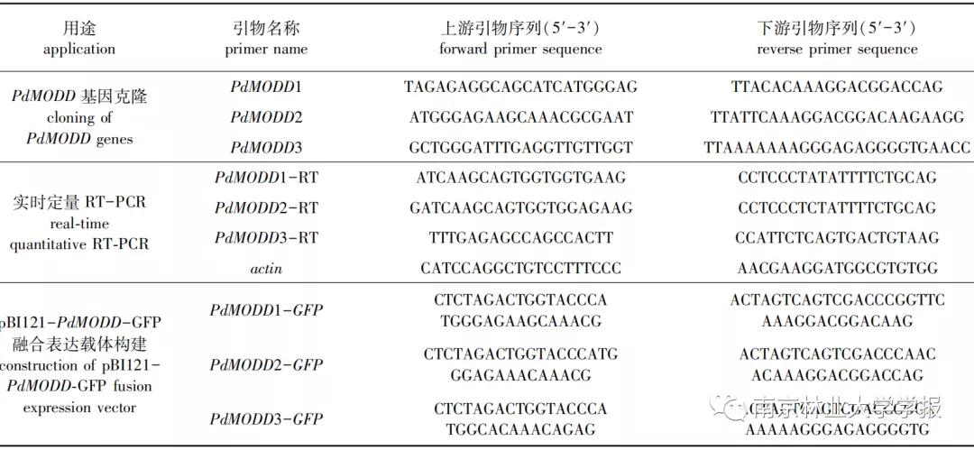 论文推荐||欧美杨PdMODD基因克隆与表达特性分析