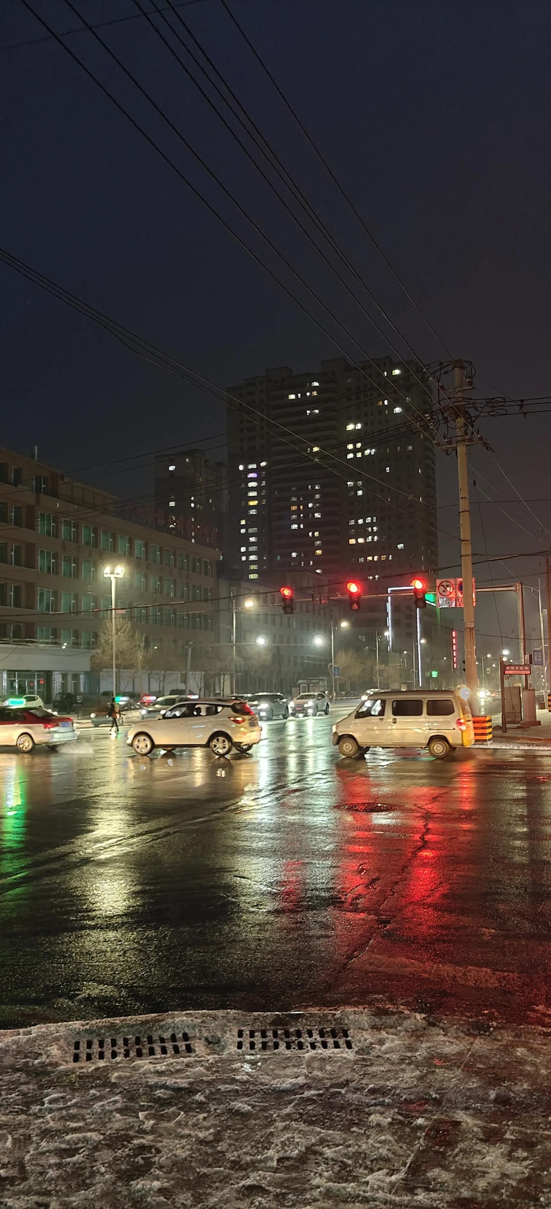 人生到处知何似全诗赏析,人生到处知何似飞鸿踏雪泥出处