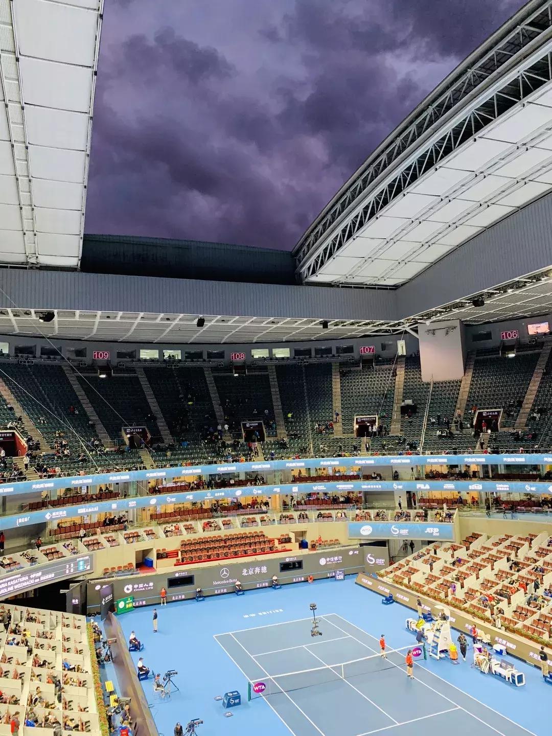 中网含金量排名,中网ls