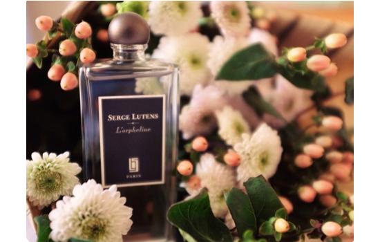 动了情的痞子连刀都拿不稳小说,动了情的痞子连刀都拿不稳下一句